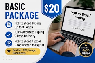 do fast PDF to word conversion, excel data entry and typing