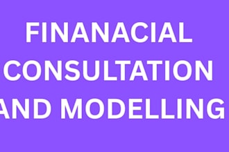 do financial consultation and modeling