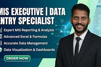 be your expert mis executive and excel data entry specialist