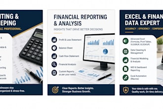 provide professional accounting financial services