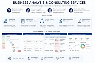 provide business analysis and consulting
