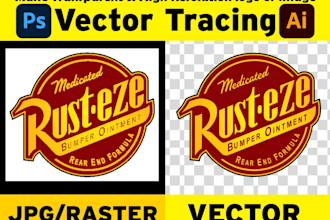do vector tracing or convert to vector quickly