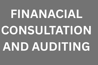 do financial modeling financial consultation