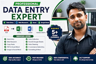 do data entry, web research, excel and PDF data entry