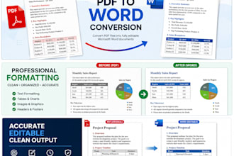 convert PDF to word and format your document professionally