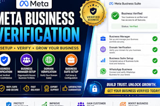 help with meta business verification and setup