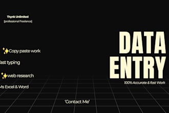 do professional data entry and virtual assistant tasks