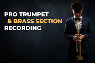 record professional pop jazz funk trumpet and brass sections