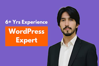 design, redesign, and develop a wordpress website that wows