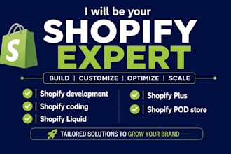 build stores, custom coding and liquid development