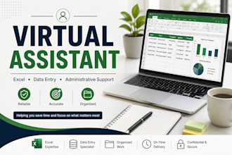be your virtual assistant for data entry and excel tasks
