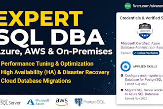 be your expert sql server database administrator