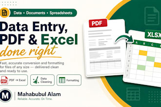 do data entry,PDF conversion and excel data processing