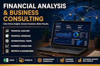 provide financial analysis, business consultating