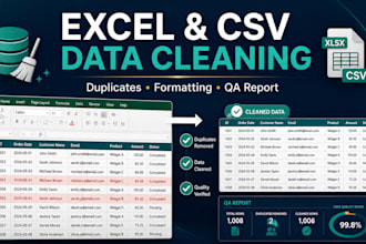 clean and organize your excel or CSV data