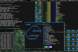perform a penetration test, ethical hacking