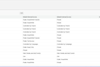 setup salesforce roles and profiles and security
