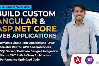 develop a modern angular web app with asp net core API