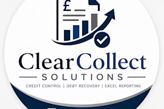 provide professional credit control services