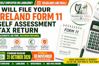 file your ireland form 11 self assessment income tax return and claim my reliefs