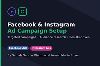 set up and manage your facbook and instagram ad campaigns