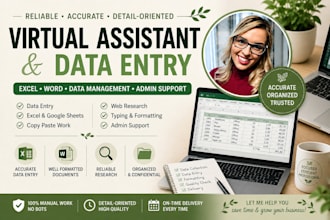 provide virtual assistant data entry word and excel support