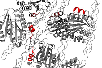 perform molecular docking and MD simulation for your research
