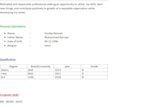 create professional cv  and resume