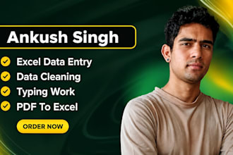 do 3 hours of data entry, data cleaning, typing work, PDF to excel