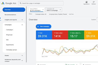 setup, manage and optimize google ads PPC campaigns for 4x to 22x roas