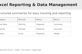 excel data entry, formatting, and spreadsheet work
