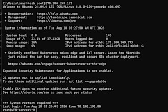 set up and configure a linux server or VPN for secure remote access