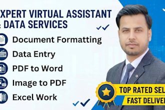 do expert data entry, word document formatting and pdf to excel conversion