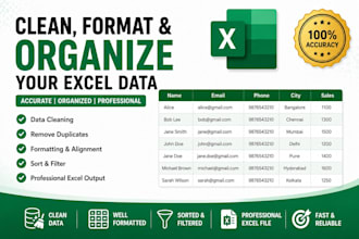 clean format and organize your excel data