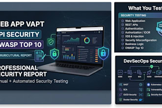 perform web application vapt and penetration testing
