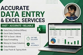 excel data entry, cleaning, formatting and create pivot table