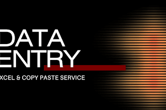 do professional excel data entry and copy paste work