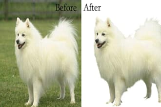 remove background from image or transparent or erase quickly