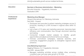 create a professional resume and CV for you