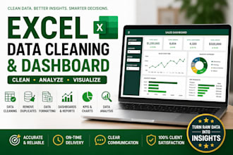 excel data cleaning and dashboard