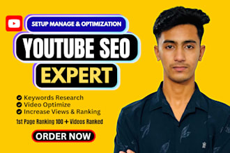provide professional youtube SEO service to grow your channel