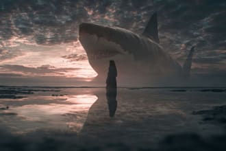 do image manipulation, photoshop