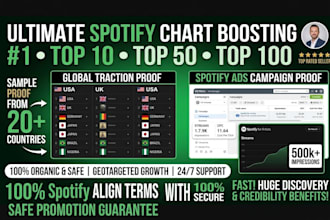 secure spotify top position for your music in spotify chart in any country