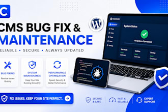 fix bugs and issues on your cms website