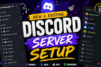 create and setup professional custom discord server, roles, channels, bots