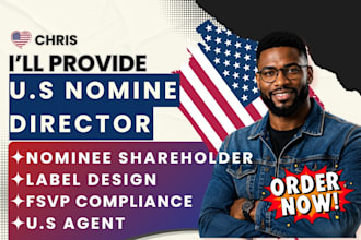 provide nominee director service for US and uk