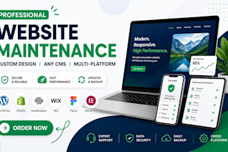 fix, maintain and customize your cms website