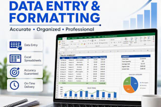 do excel data entry, word formatting and powerpoint