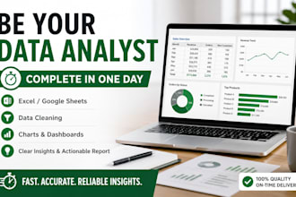 be your data analyst, complete in one day