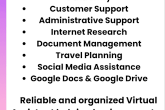 provide professional virtual assistant service